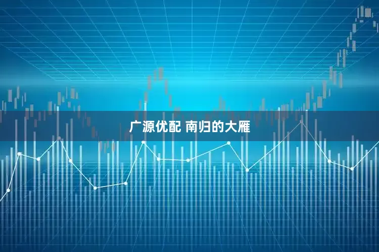 广源优配 南归的大雁