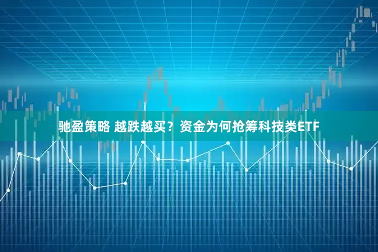驰盈策略 越跌越买？资金为何抢筹科技类ETF