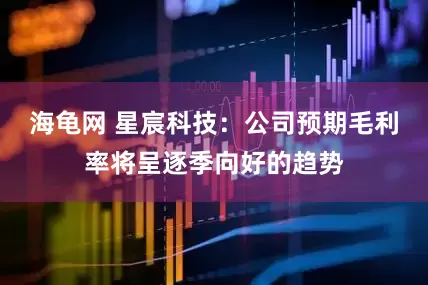 海龟网 星宸科技：公司预期毛利率将呈逐季向好的趋势